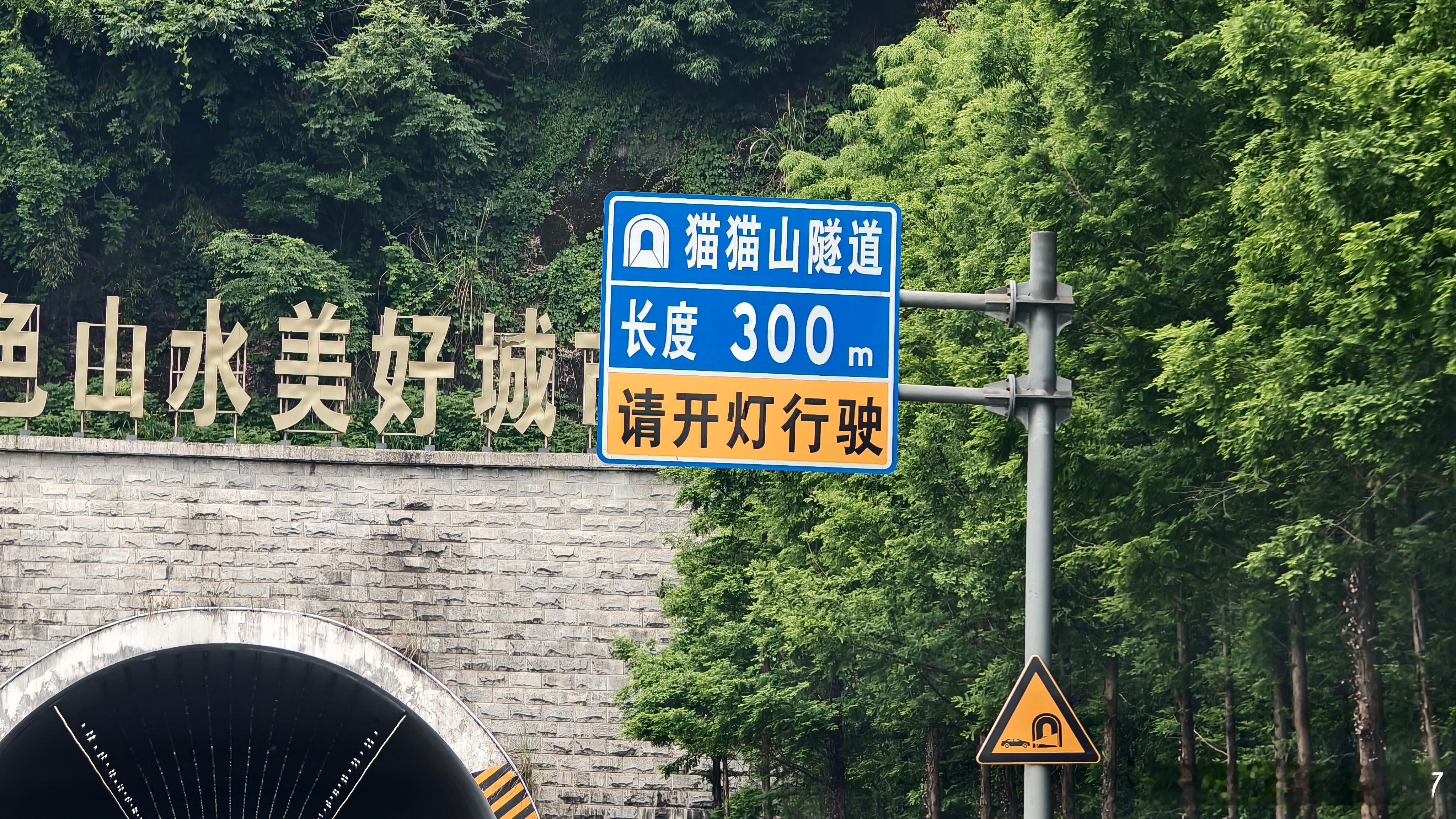 猫猫山！ 湖州·猫猫山隧道