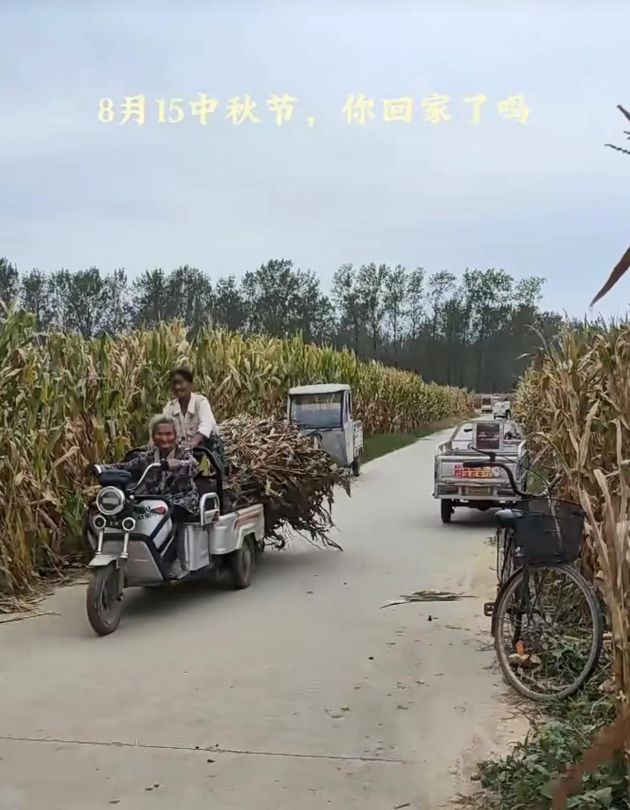 #请用一张美食照片证明这是你的故乡# 记忆中，小时候的秋天很忙，忙着下地薅花生，