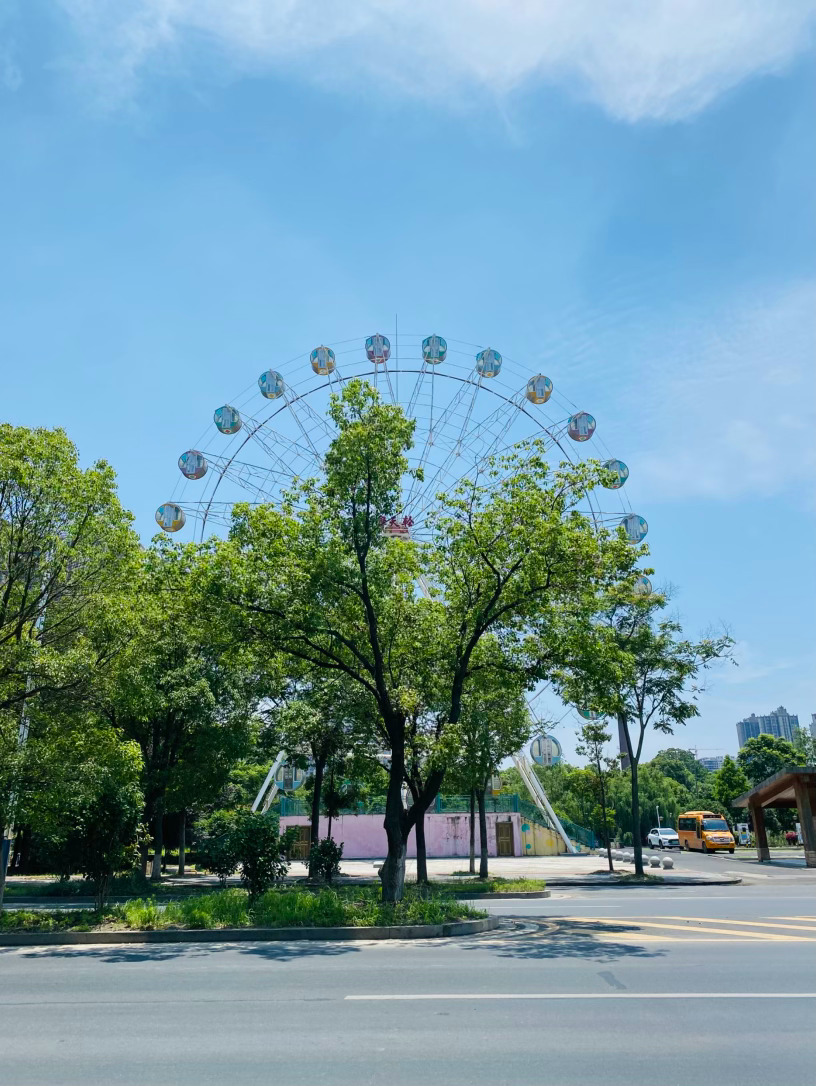 生活手记记录真实生活摄影摄影摄影 晴日林荫，人间清欢盛夏的风揉碎满树绿意，漫过宽