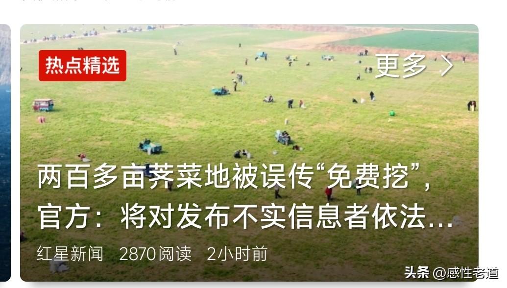 二百亩承办荠菜地被“误挖”？有网友发视频称荠菜人家不要了，引发了众多当地附近村民