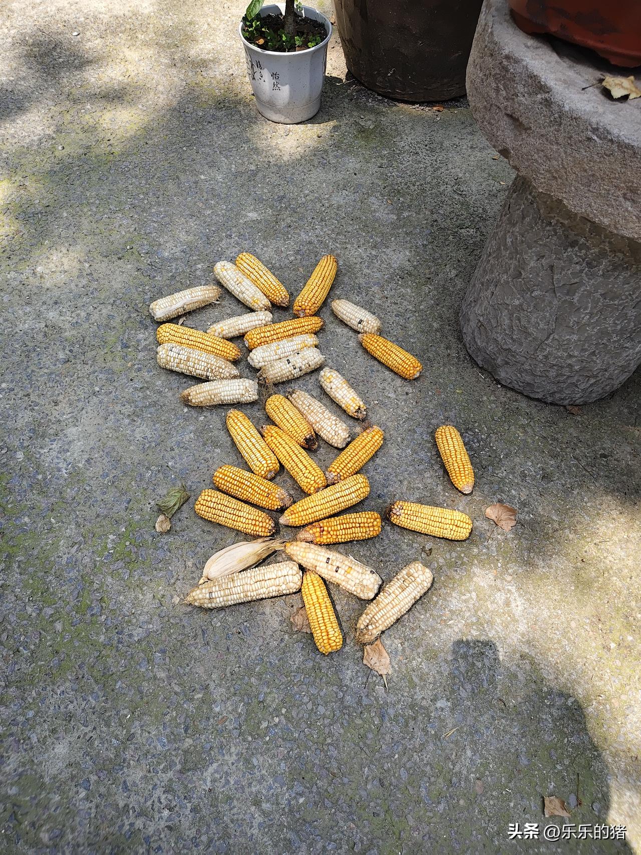 十年前大姐夫妹妹的小孩过18岁生日，大姐说了句“祝外甥女永远18岁”。小女孩年底