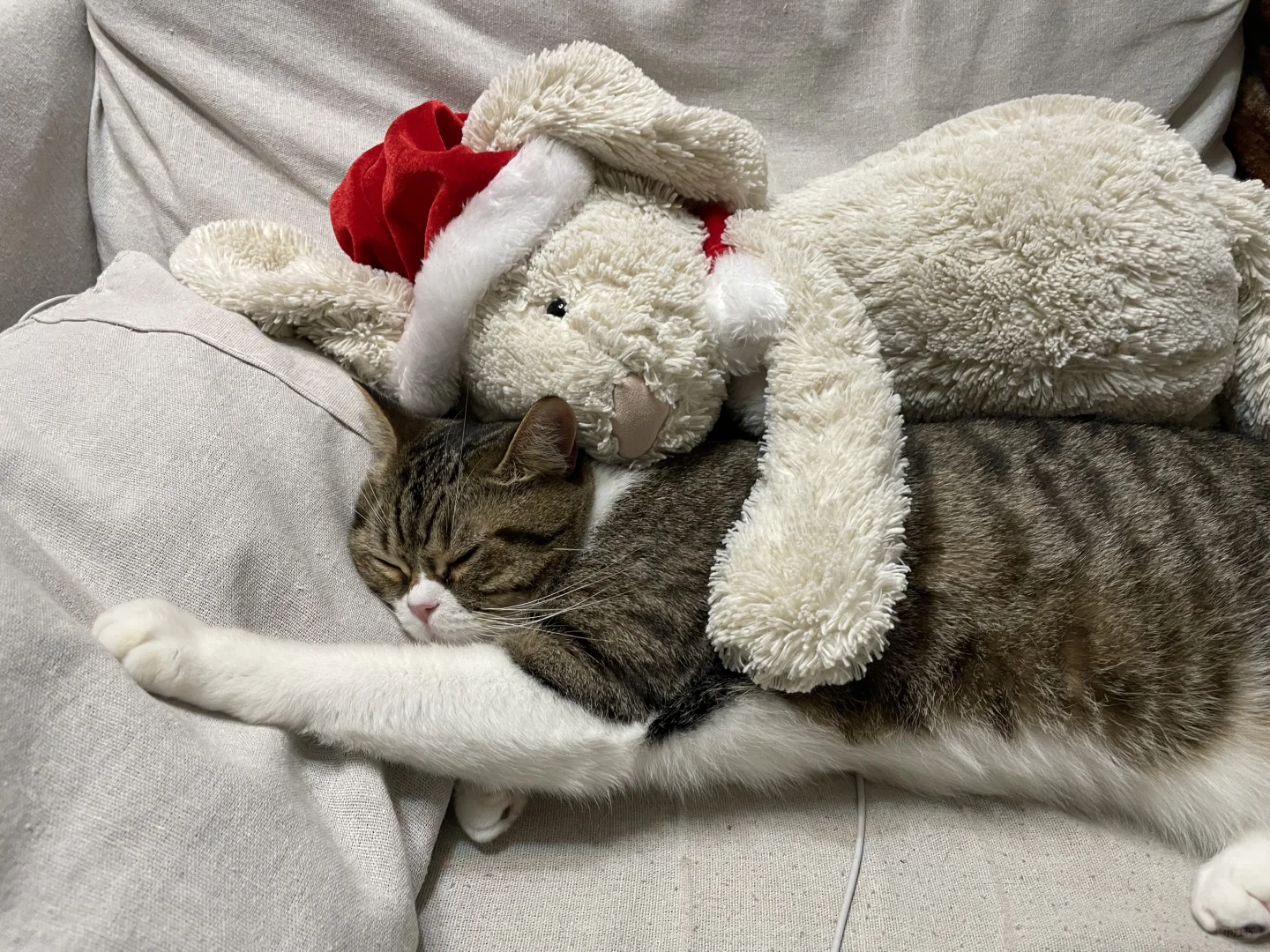 晚安💤