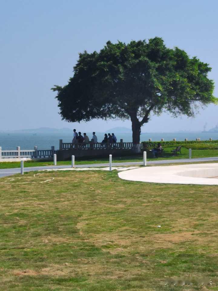 可不可以发一张你觉得最有感觉的照片？
国庆自驾游去福建漳州玩，树下是一群高中生，