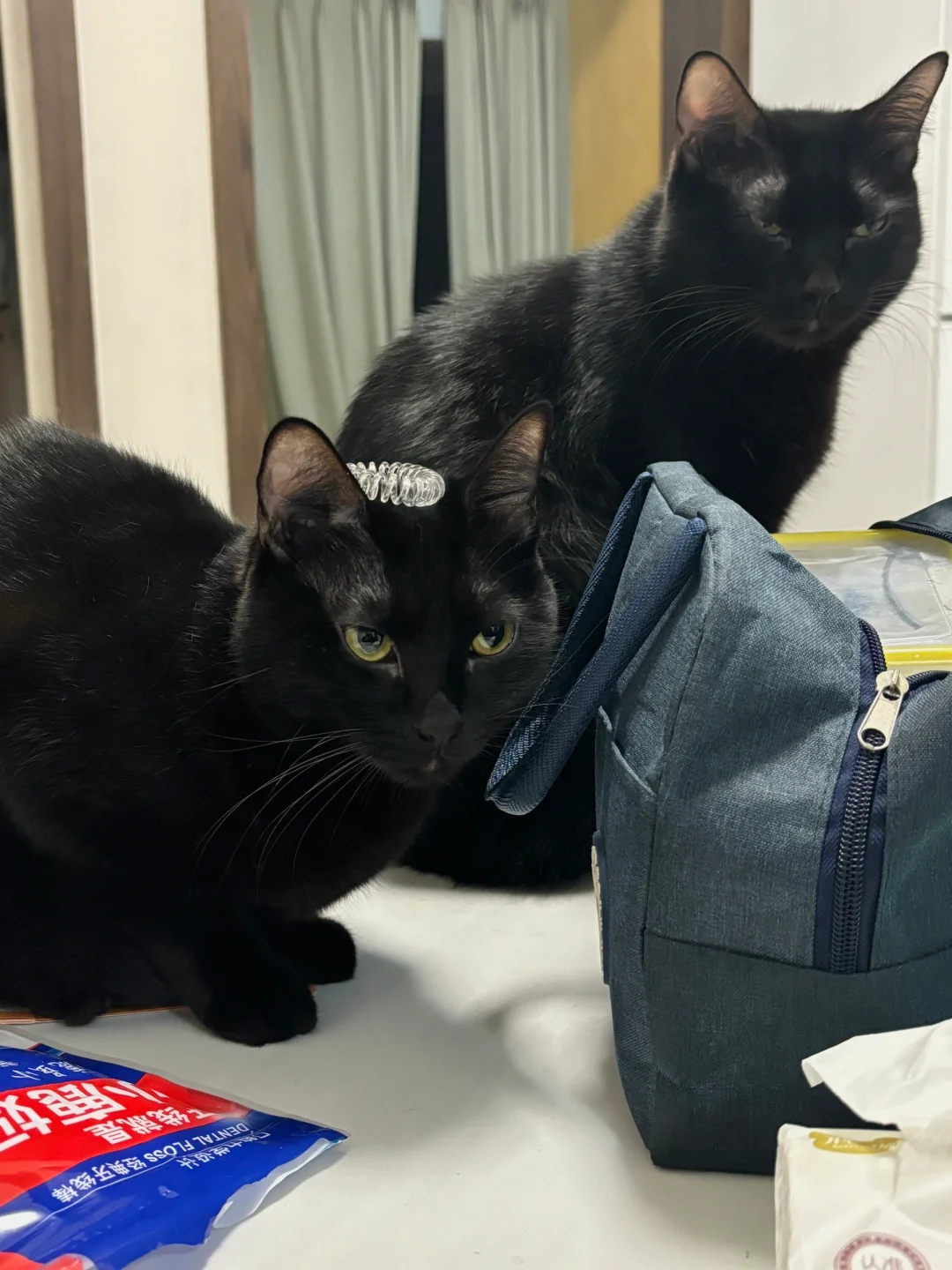 黑胖子和黑瘦子