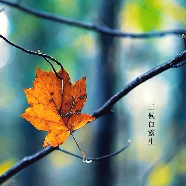 做好心理准备吧

明天就是8月7号了，估计所有人都觉得只要过了明天天气就会转凉，