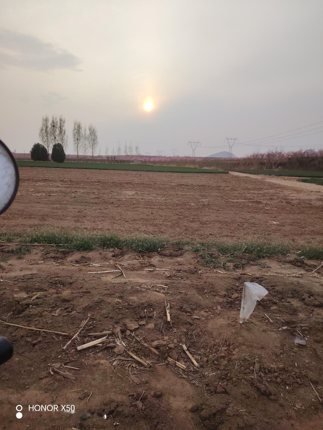 春日生活打卡季 春日生活打卡季来啦！别再羡慕别人朋友圈的春日大片，咱也能低成本过