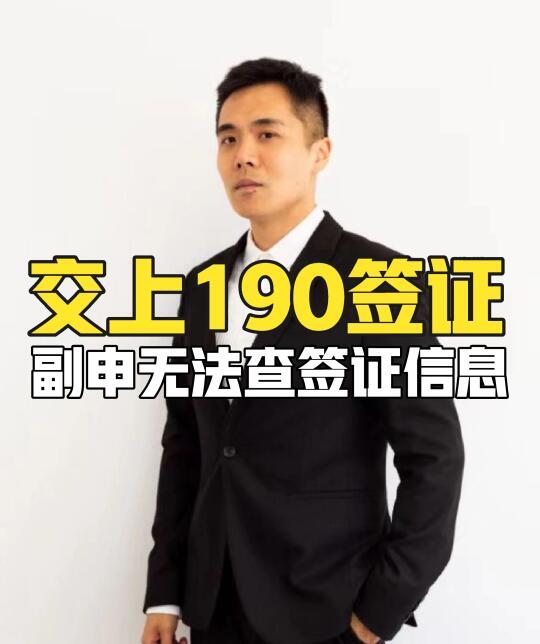 交上190签证，副申请无法查签证信息