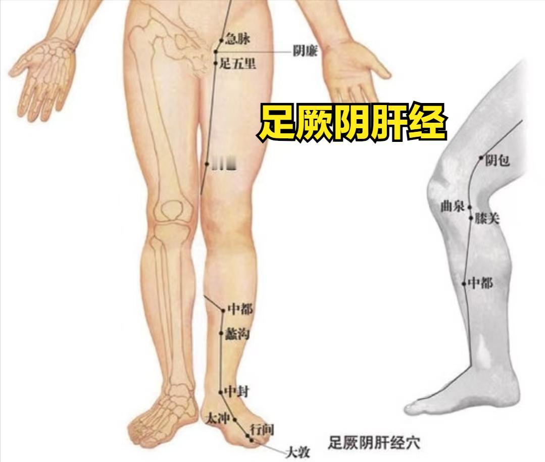 经络不通，万病之源！教你疏通各个经络的妙招，学会受益一辈子
1.肝经不通
表现：