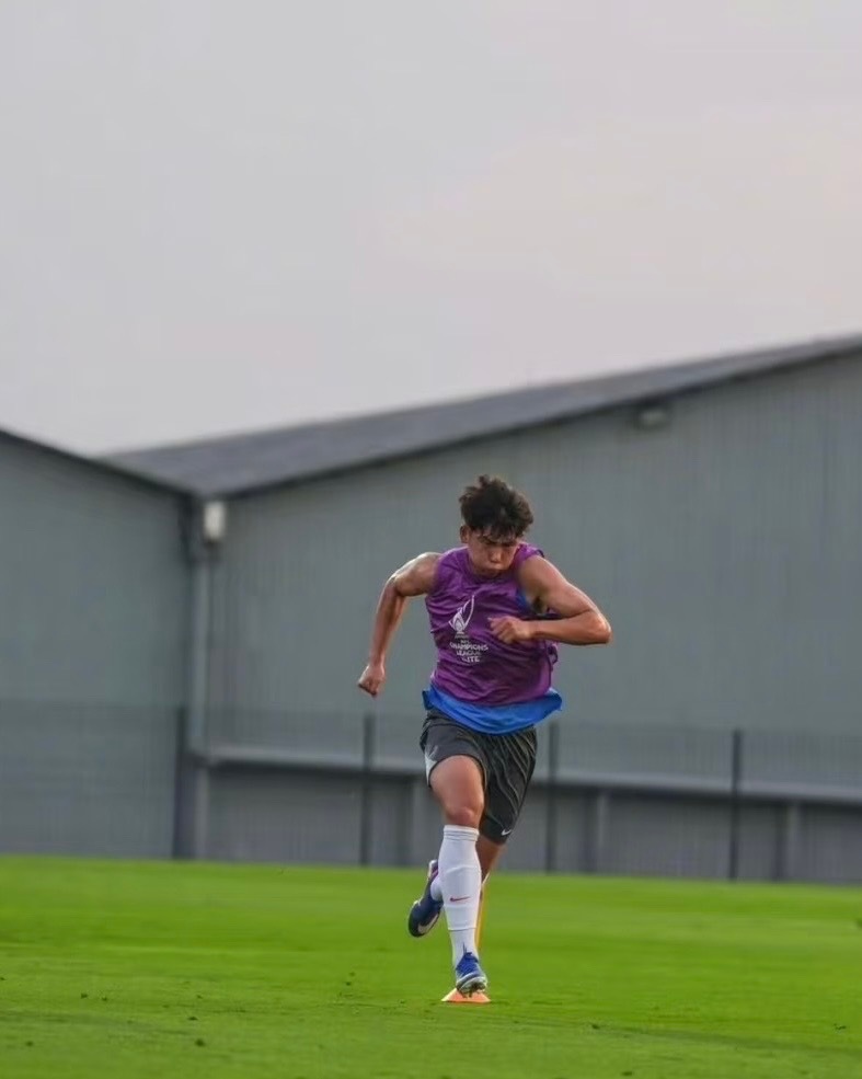 一只冬训大型犬只向你跑来 