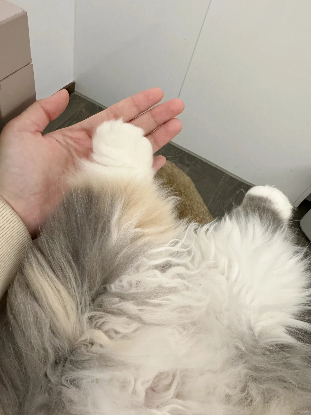 救命 怎么会有酸菜的味道