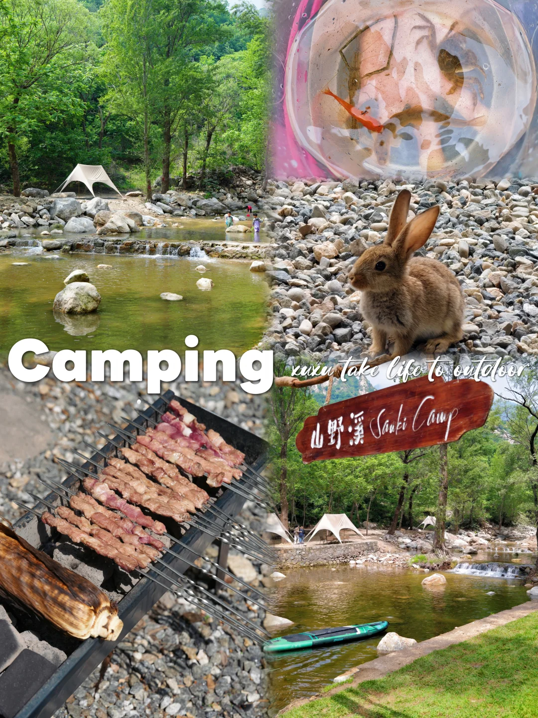 烧烤🏕露营❗️溯溪🎣钓鱼❗️孩子玩疯