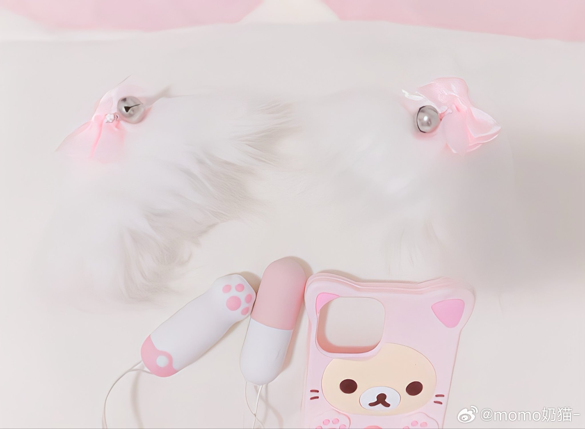 小猫出门准备 