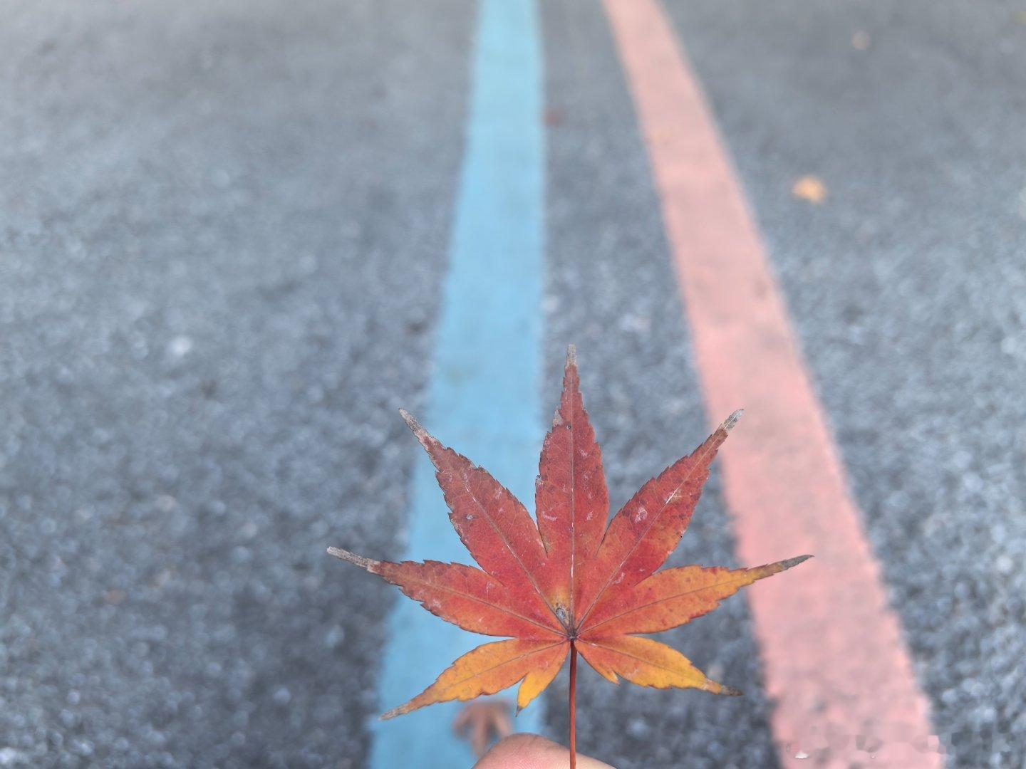 拉长时间轴认清自己就是活明白了别试图揣摩别人，那就是自寻烦恼 