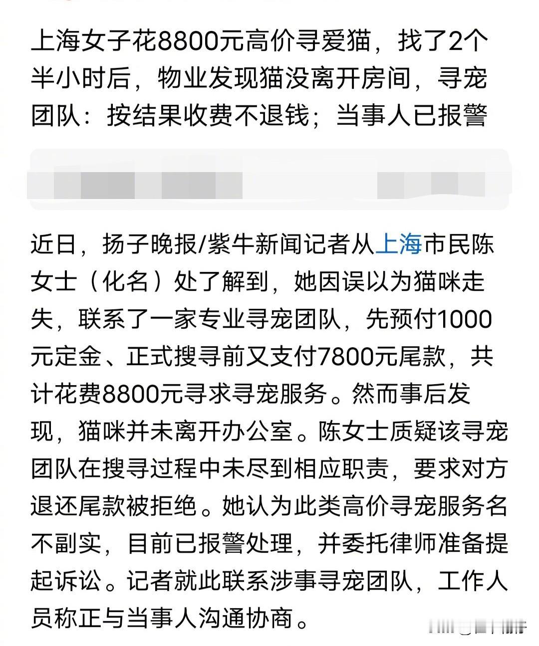 一名上海女子发现自己的猫在办公室不见了，于是花了8800元找了一个寻宠团队帮她找