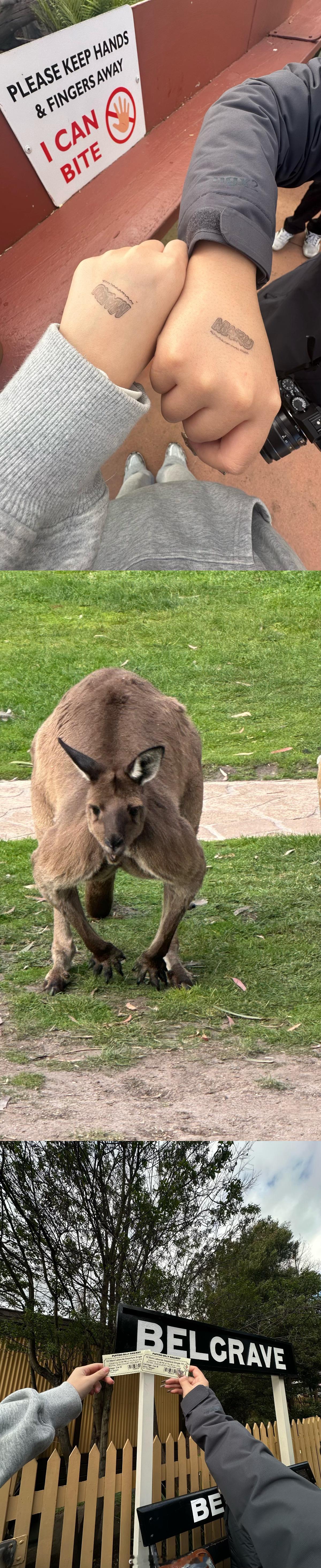 多图警告 p10搞笑 ​​​