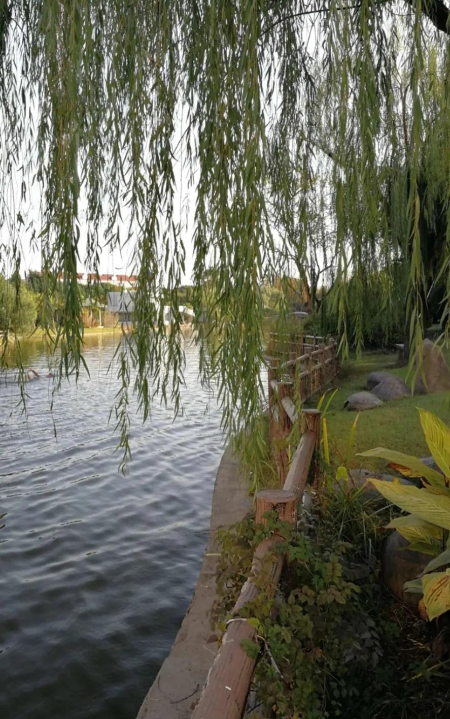 △金秋随笔△
🎋🌸🍃🍎
早晨迈步迎曙光，
清风拂面激情昂。
满怀喜悦走小