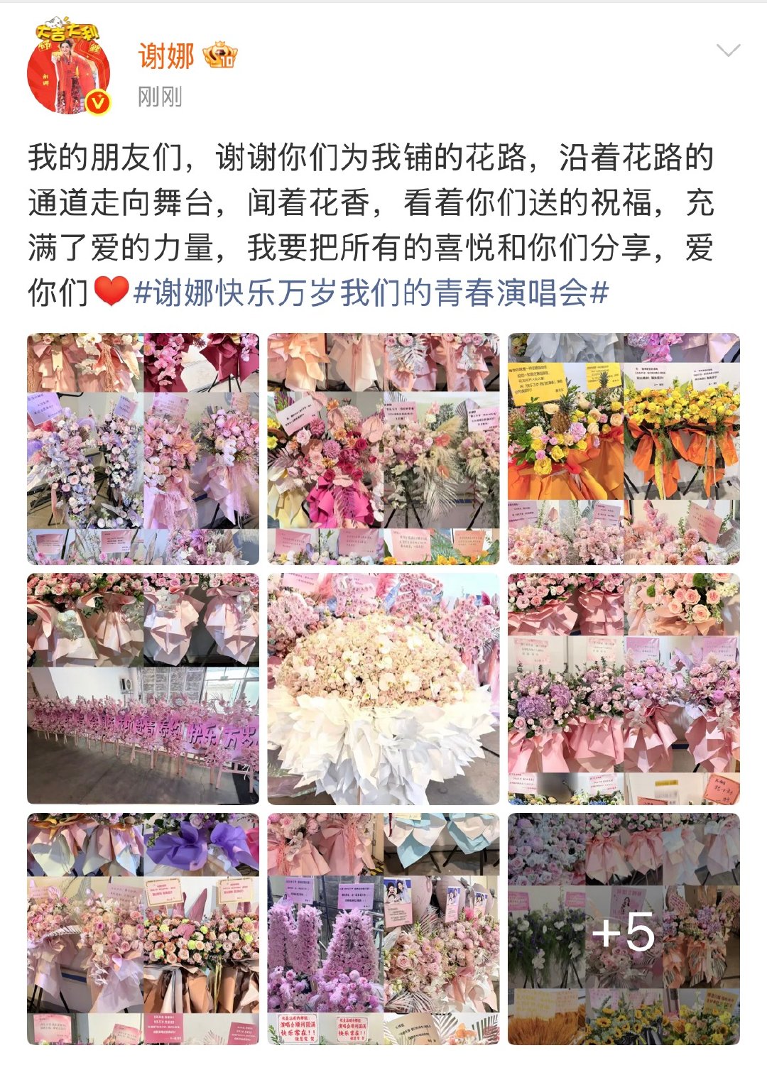 谢娜晒了演唱会花篮 谢娜谢谢朋友们为我铺的花路 谢娜谢谢朋友们为我铺的花路 