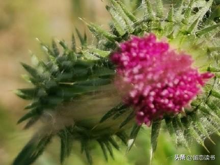 暑假里第二天，我就拿起镰刀，背起背篓，给生产队的饲养处里割草，当时也不知道怎么算