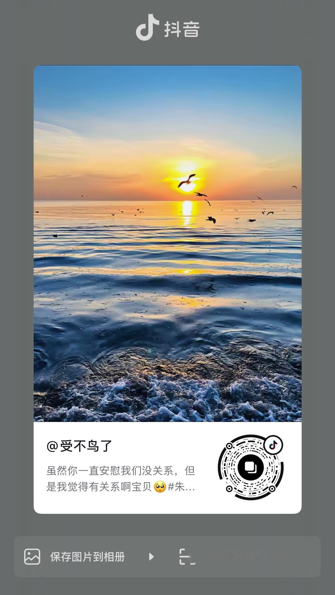 下家在号召ka，速来加热增评朱志鑫一路向海的少年