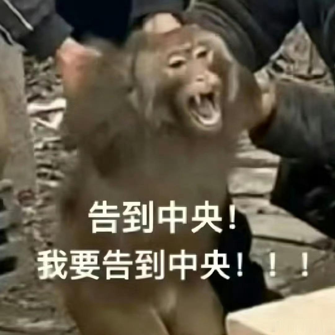 大家检查一下自己的👖设备，我几个挂的长安二十四计，刚刚有个账浩播完自动跳到了自