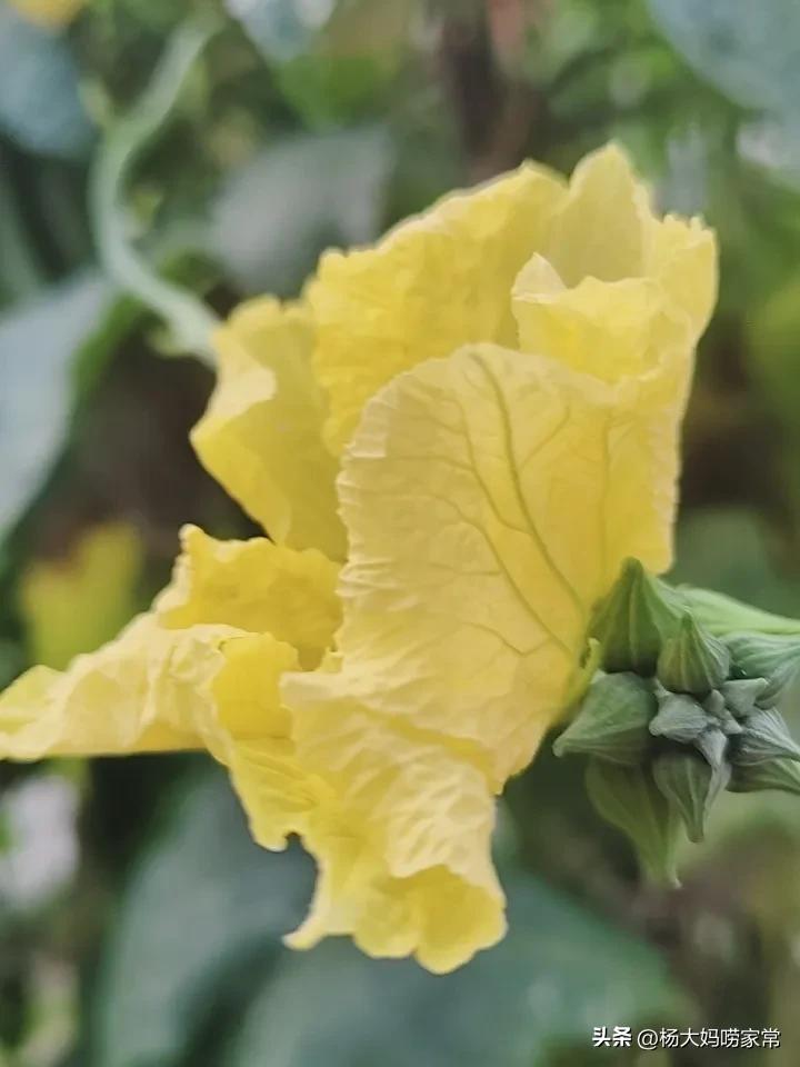 我表姐的儿子马上就要结婚了，可是就因为房子的写谁名的事情给闹掰了。
      