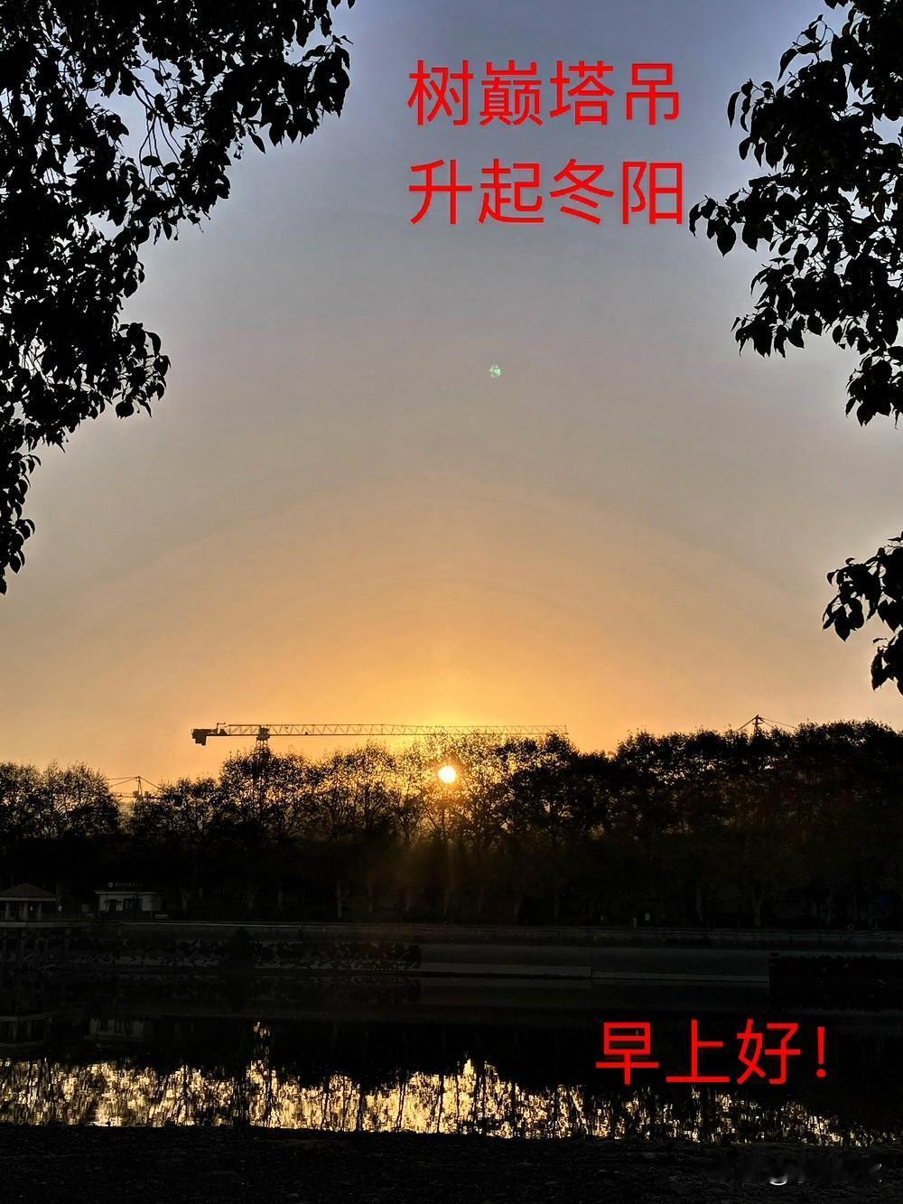 分享一张最近随手拍的照片