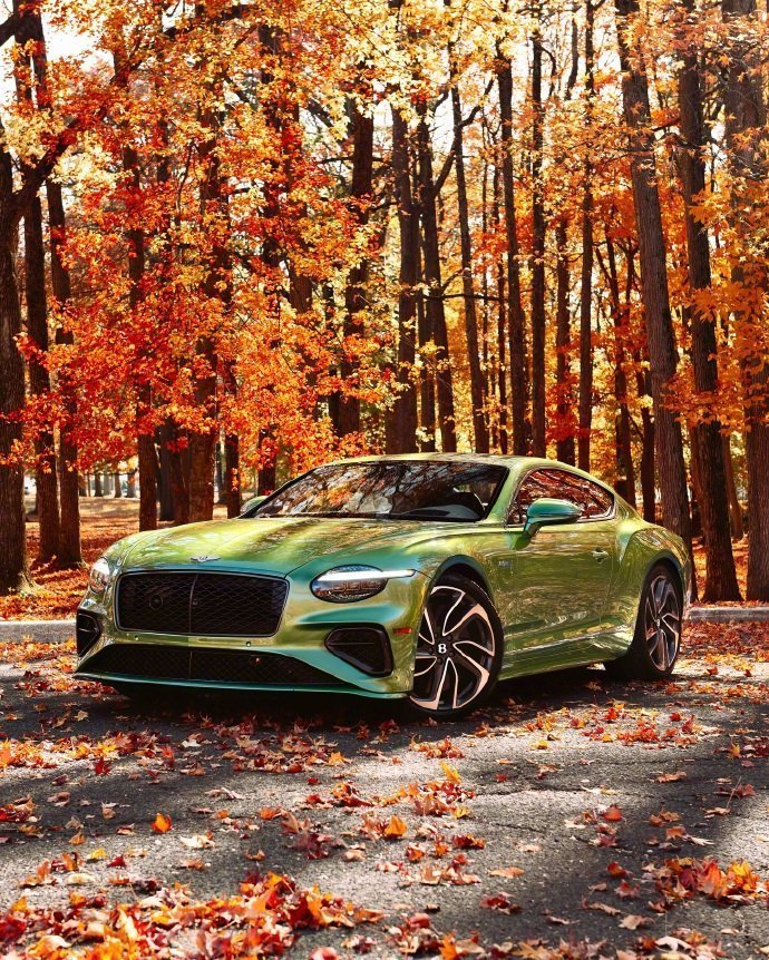 宾利 Continental GT Speed 优雅登场！限量典藏身份加持，豪华