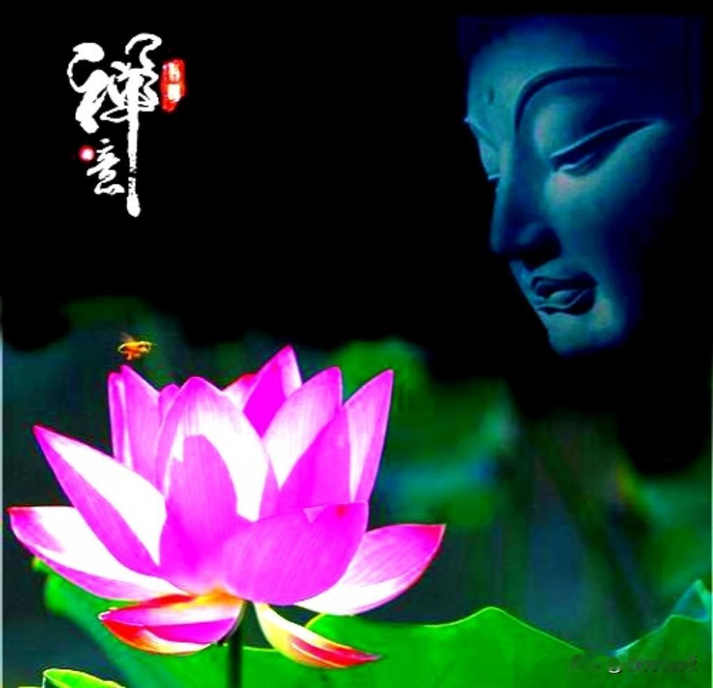 人老了，总是苦的。

要想活得舒坦一些，快乐一些，就要通透一些，明白一些颠覆以往