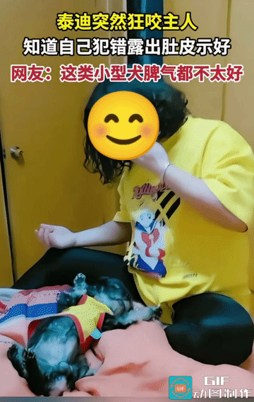 它咬了它一下，它知道自己犯错了，它立即躺下示好。
她虽然被咬，但是，还可以看出，