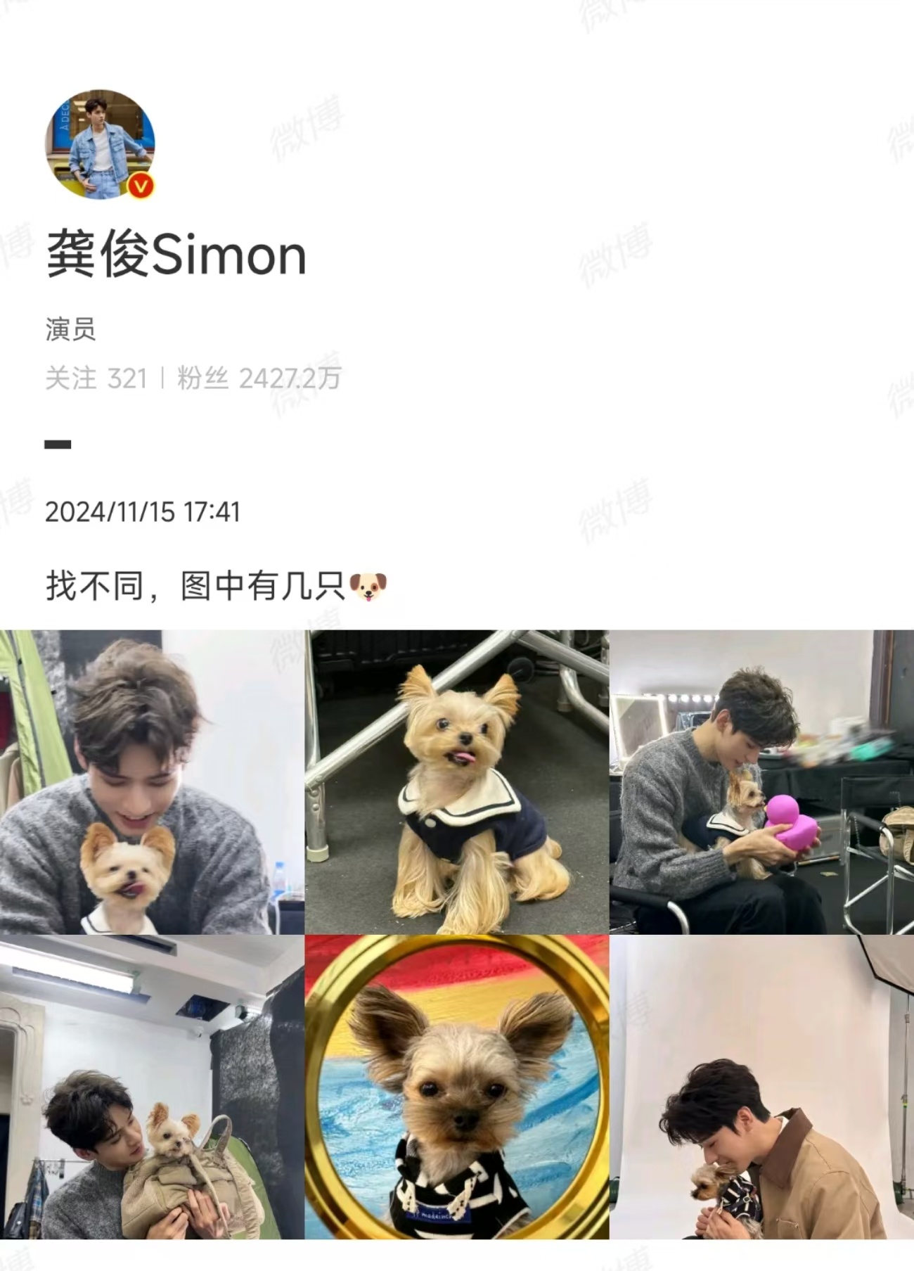 考察大家的眼力见的时候，龚俊在微博玩起了找不同，真的好想知道这一次有几只小狗的呀