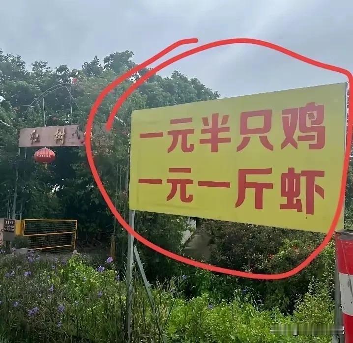 怎么这么便宜？