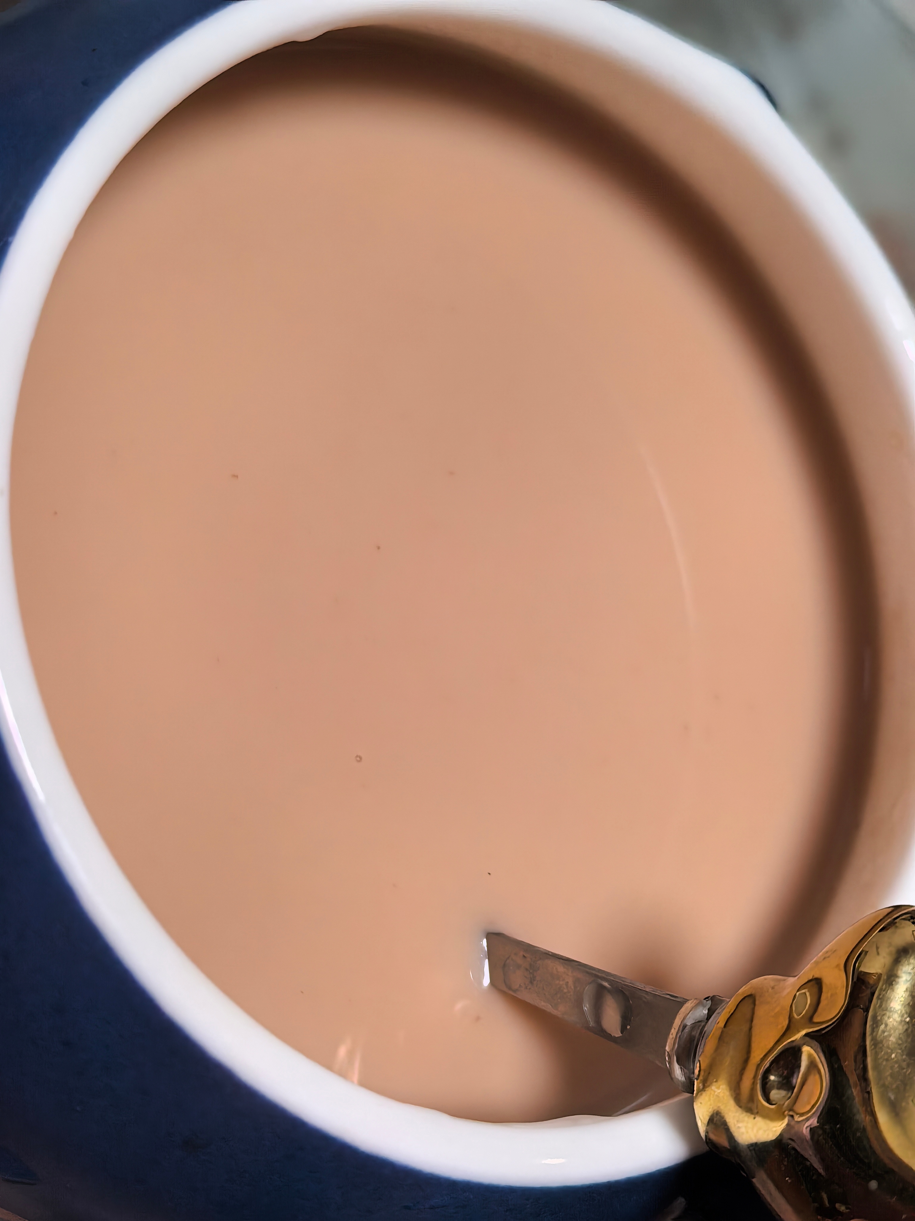 有人懂一下这杯的含金量吗？我自己泡的糯香普洱茶然后自己兑了牛奶进去怕不够甜还加了