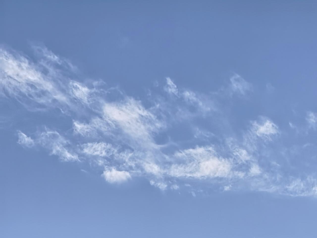 《任性的白云》
天空白云薄如纱，随风飘移多变化。
有时似狗嗷嗷叫，有时仙女在散花