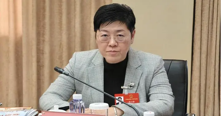 《祖国》记者跑两会丨全国人大代表吴小丽：以民生为桥，绘就大湾区融合新图景