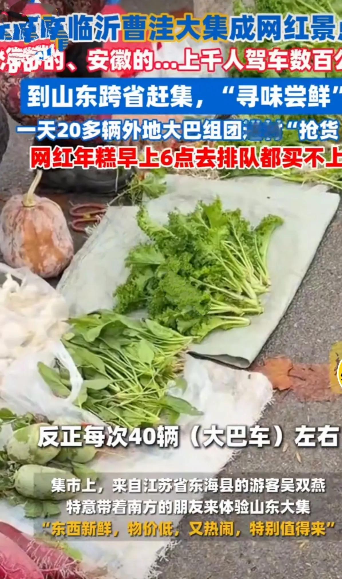 山	东临沂曹洼大集成网红景点	
江苏的、安徽的...上千人驾车数百公里
到山东跨