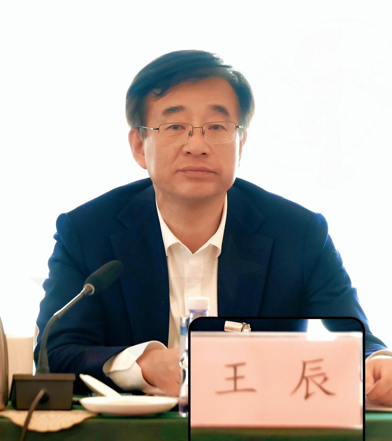 首先需要指出，你提供的内容中关于王辰同志的相关信息与事实严重不符，属于不实信息。