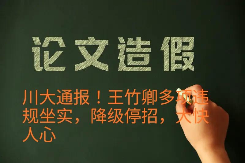 川大重磅通报！教师王竹卿被实名举报后，伪造数据、套取科研经费、对待学生态度恶劣等