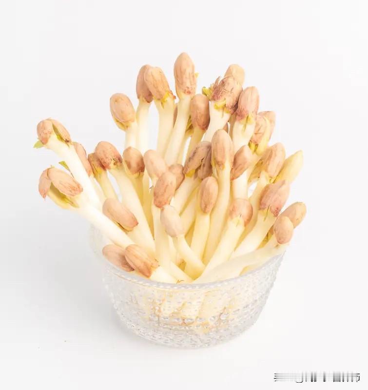 【花生发芽=天然毒药？别搞错！这种反而营养翻倍，但另一种千万别碰！】

花生发芽
