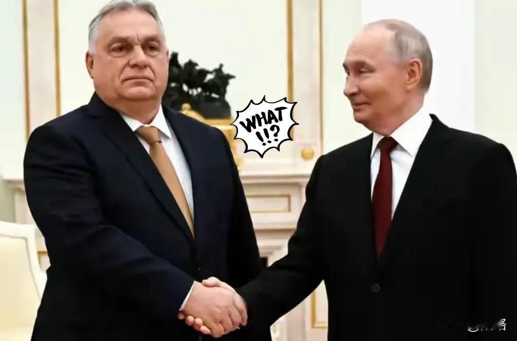 越来越凉，欧尔班陷入绝望
 
彭博社消息，2月25日，匈牙利权威独立民调机构Me