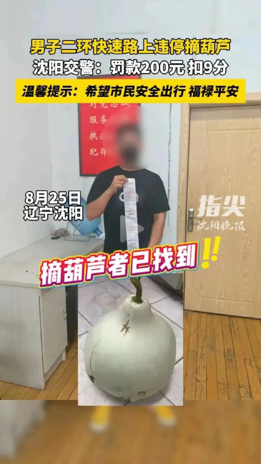 “又狂又蠢！”沈阳一男子手欠摘走二环900万人守护的大葫芦，不仅搅黄了自己的婚礼