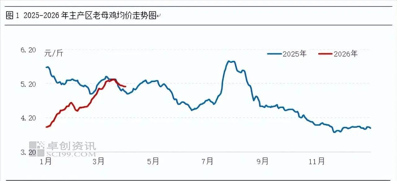 3月全国老母鸡市场，为何供应一紧就价飙12.58%，转松瞬间崩盘？

这种倒V走