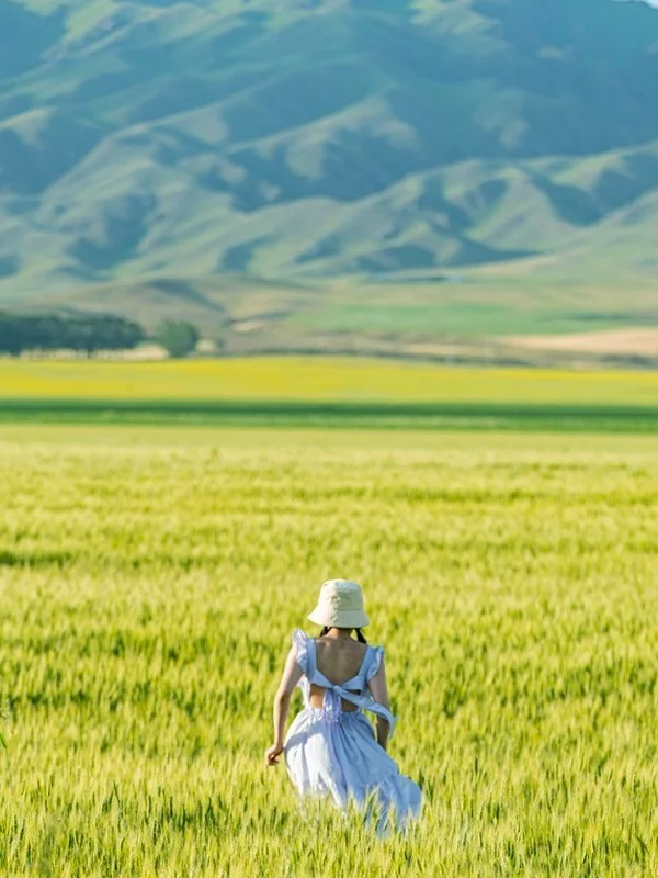 金色北疆，独库公路末班车，喀纳斯伊犁10日