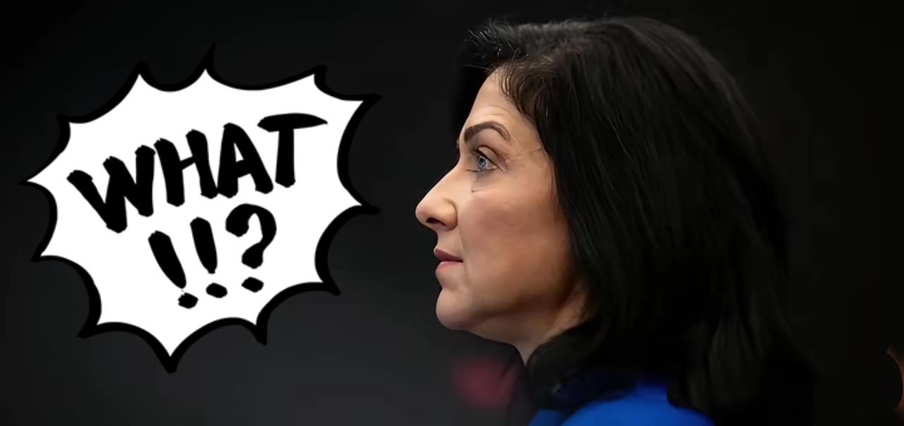 德国经济部长凯瑟琳娜·赖歇近日语出惊人，将荷兰强制接管安世半导体的单边行为甩锅中