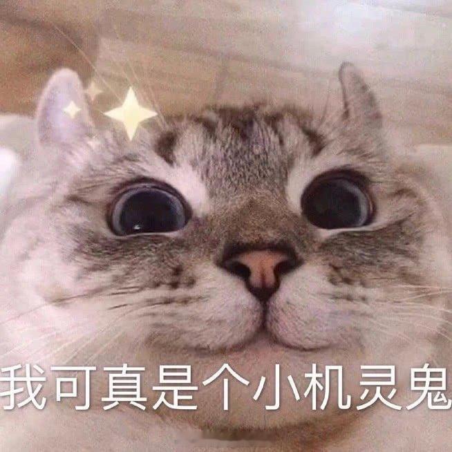 有的时候真佩服粉丝的机智，挽尊话术一套一套的🤣一个饼从A平台变更到B平台瓜主说