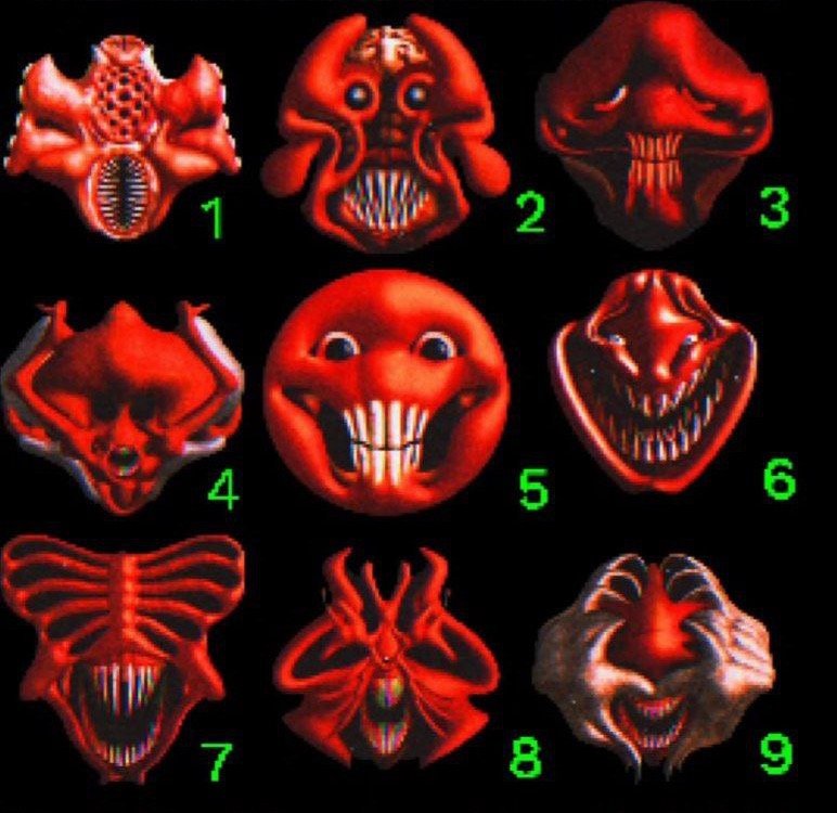 上班的九个阶段 