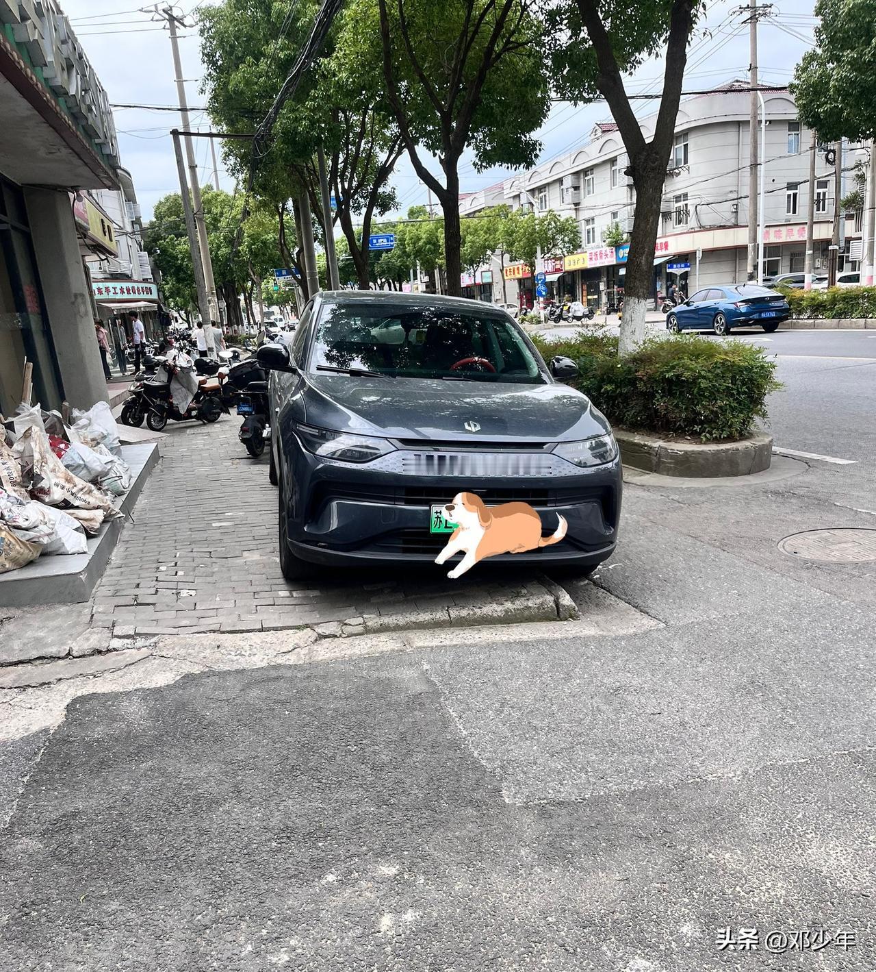 这位车主真会停车，一半占着人行道，一半占着非机动车道，他就是不停在机动车该停的地