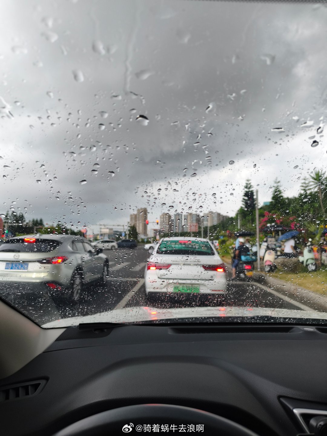 大滴大滴的雨 