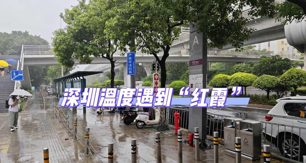 深圳温度遇到“红霞”
26号早上11号线马安山站停运了，预计9点通车，看着我们在
