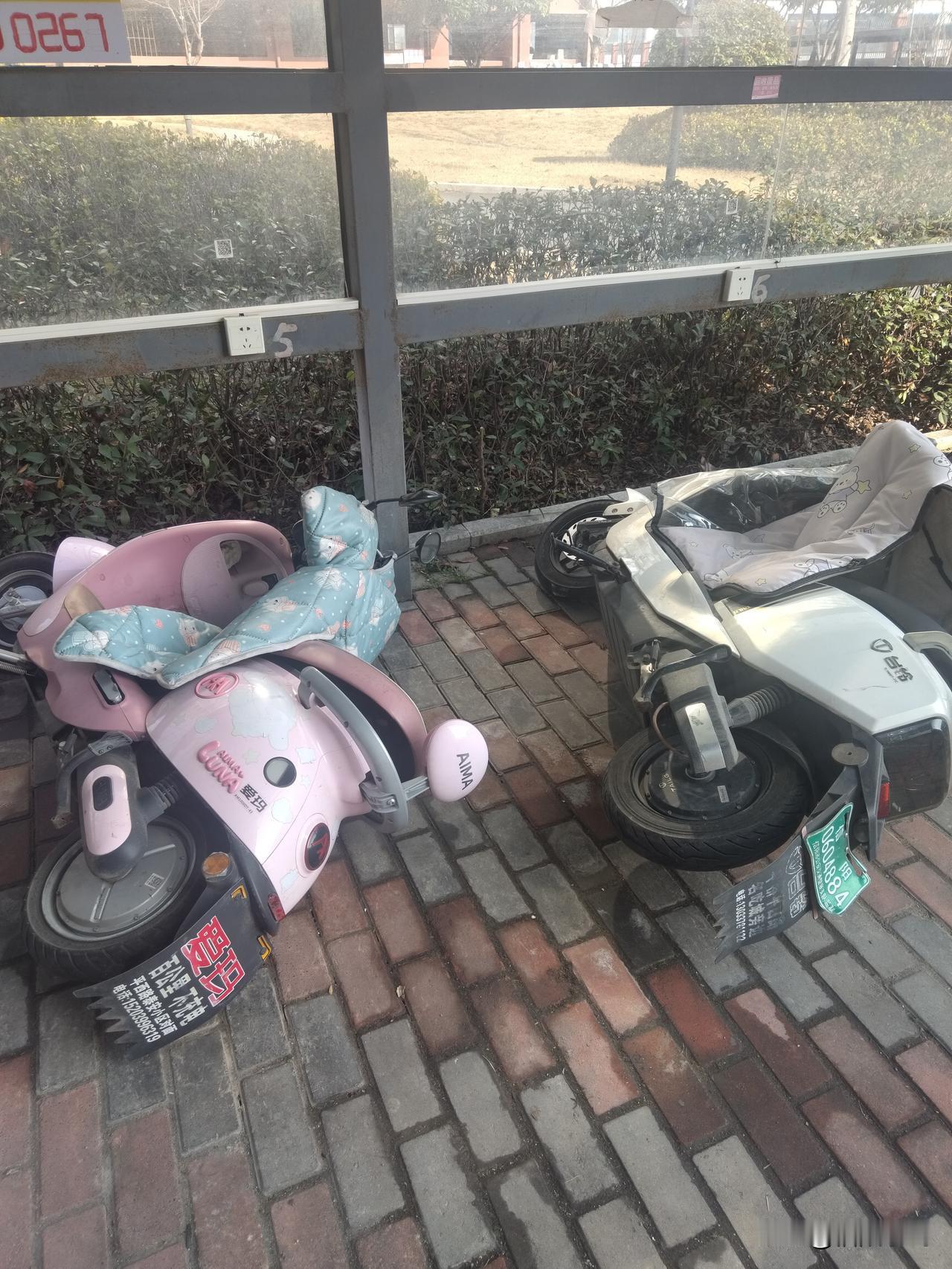 3500元的电动车，出厂价到底多少？商家赚多少？行内人说实话
 
3500块左右