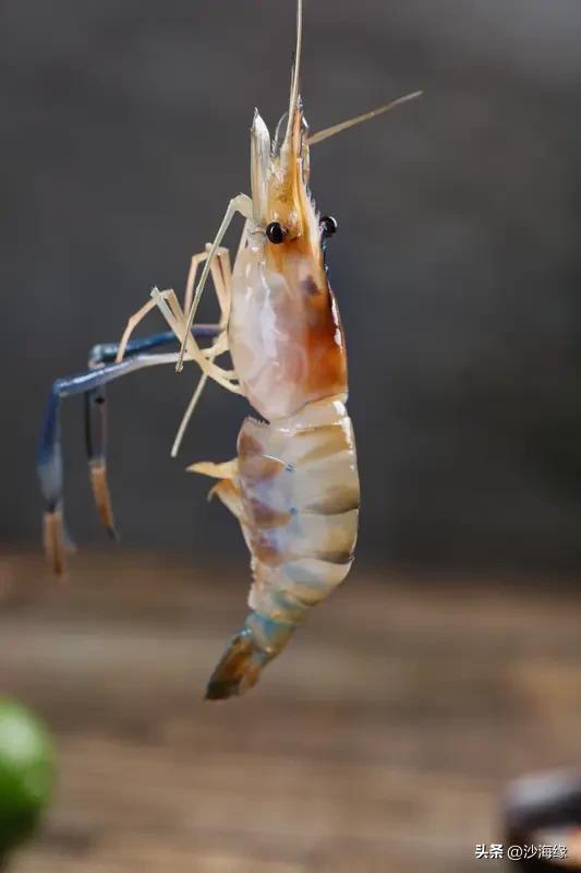 今天去超市买菜，本来我是想买基尾虾🦐的，到了摊位前一看，水池里的基尾虾有1/3